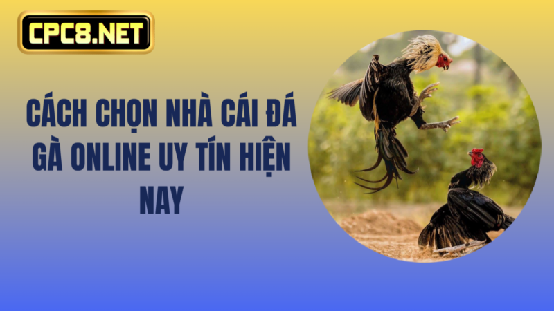 Cách chọn nhà cái đá gà online uy tín hiện nay