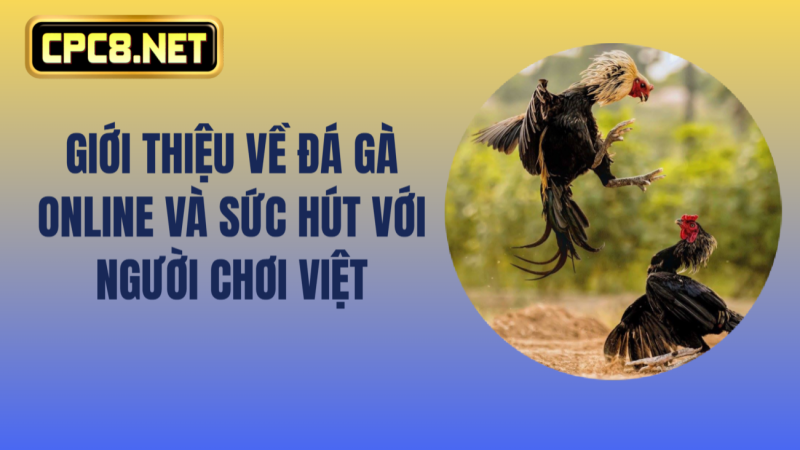 đá gà online