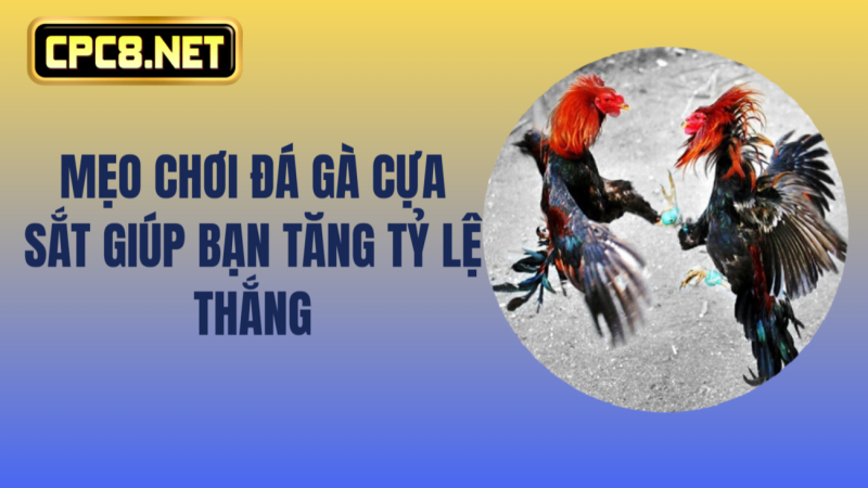 Mẹo chơi đá gà cựa sắt giúp bạn tăng tỷ lệ thắng